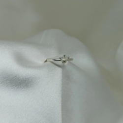 Anillo - Modelo N� 24