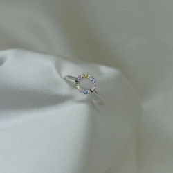 Anillo Micro - Modelo N� 09