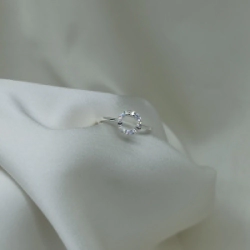 Anillo Micro - Modelo N� 38