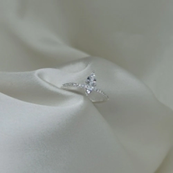 Anillo Micro - Modelo N� 35