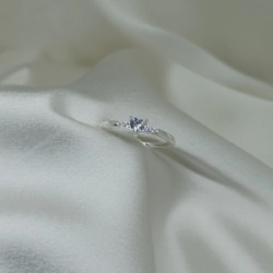 Anillo cintillo - Modelo N� 43