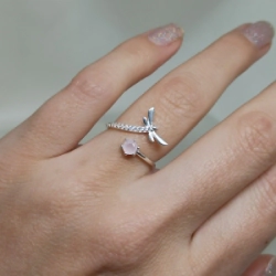Anillo lib�lula - Modelo N� 67