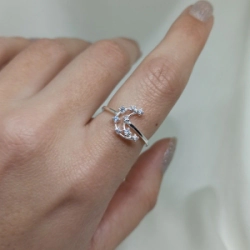 Anillo luna - Modelo N� 69
