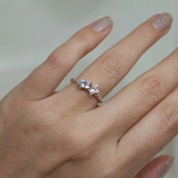 Anillo mariposa - Modelo N� 70