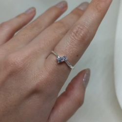 Anillo cintillo - Modelo N� 53