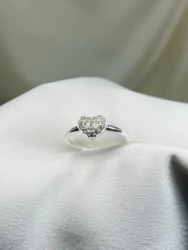 Anillo - Modelo N� 46