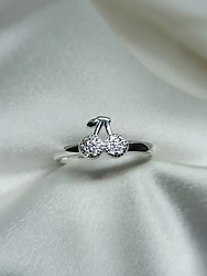 Anillo Micro - Modelo N� 44