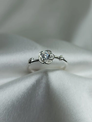 Anillo Micro - Modelo N� 88